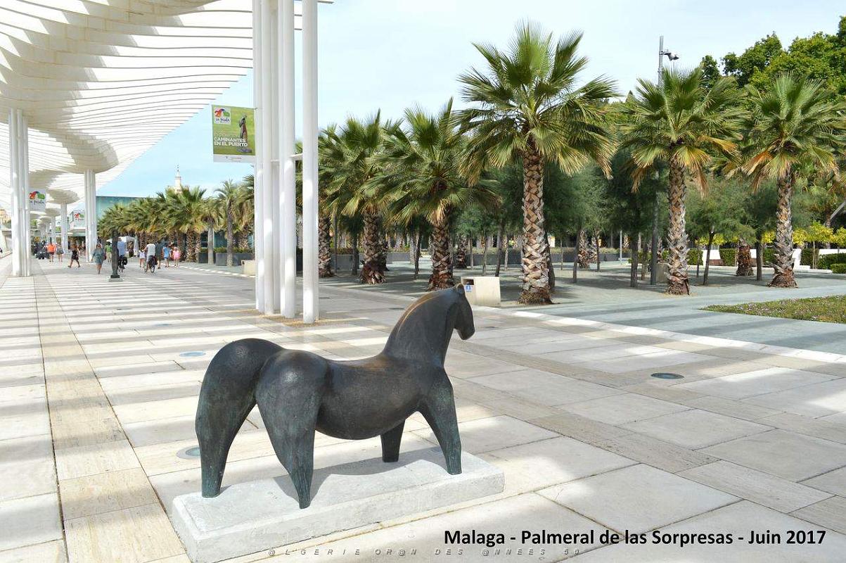 136- Malaga Palmeral Sorpresas.JPG
